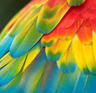 Grafik Tasarım Eğitimi Grafik Tasarım Eğitimi